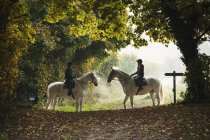 Два всадника на белых лошадях — стоковое фото