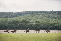 Personas en caballos marrones montando en el campo - foto de stock