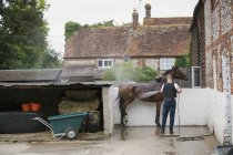 Человек, поливающий коричневую лошадь — стоковое фото
