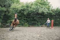 Mujer ejercitando caballo en paddock - foto de stock