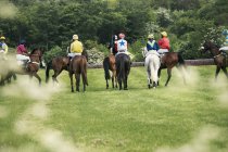 Grupo de jinetes en caballos de carreras - foto de stock