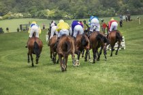 Riders on racehorses racing — Stock Photo