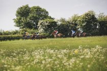 Groupe de cavaliers sur chevaux de course — Photo de stock