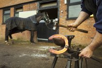 Фарьер, использующий тонны и молот для удержания лошади — стоковое фото