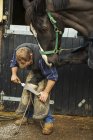 Farrier filing hoof of horse — Stock Photo