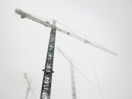 Three cranes rising into misty sky — Stock Photo