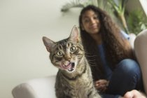 Chica sentada en sofá con gato mascota - foto de stock
