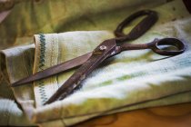 Пара ржавых ножниц — стоковое фото