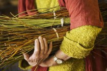 Frau hält Weidenbündel in der Hand — Stockfoto