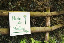 Sign reading Herbs for Healing — Stock Photo