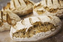 Свіжоспечені хліби хліба — стокове фото