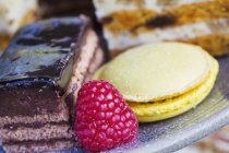 Macaroon and a raspberry on a plate — Stock Photo