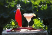 Rhabarber-Cocktail aus nächster Nähe — Stockfoto