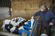 Donna versando il latte in un alimentatore — Foto stock