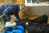 Mulher derramando leite em um alimentador — Fotografia de Stock