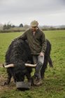 Farmer with black highland cow — Stock Photo