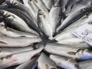 Frischer Fisch und Preisschild. — Stockfoto