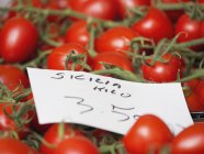 Tomates em videira, e preço — Fotografia de Stock