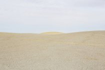 Пустыня, плоский ландшафт в сумерках — стоковое фото