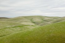 Прокатки зелені пагорби — стокове фото