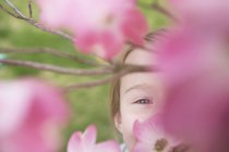 Молода дівчина дивиться крізь розквіт — стокове фото