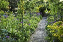 Vista lungo un sentiero in giardino — Foto stock