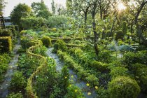 Blick auf Garten mit Steinweg — Stockfoto