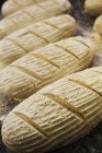 Bread dough shaped into loaves — Stock Photo
