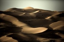 Paesaggio desertico con dune di sabbia — Foto stock