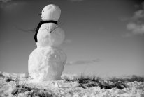 Hombre de nieve con bufanda - foto de stock
