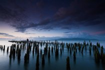Wooden stumps in water under twilight sky in Oregon, USA — Stock Photo