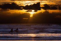 Surfers on Cannon Beach — Stock Photo