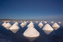 Montones de sal seca - foto de stock