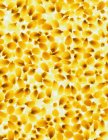 Modello di noccioli di popcorn — Foto stock