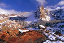 Kiefernwälder und schneebedeckte Berge — Stockfoto