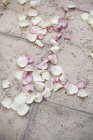 Натуральні рожеві сушені пелюстки троянд на землі . — стокове фото
