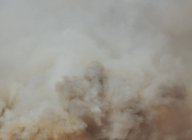 Nubes naturales de humo de fuego forestal, marco completo - foto de stock