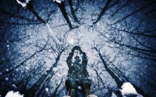 Shadow on surface of ice of man and trees. — Stock Photo