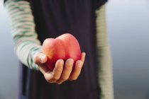 Cropped view of girl holding fresh apple. — Stock Photo