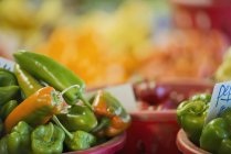 Organic assorted green peppers in pots on table. — Stock Photo