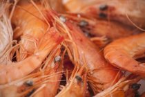 Plat de crevettes fraîchement cuites avec coquilles, cadre complet . — Photo de stock