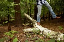 Vista cortada do homem que equilibra no tronco caído da árvore nas madeiras . — Fotografia de Stock