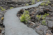 Paved pathway through lava field of Craters of the Moon national monument and preserve in Butte County, Idaho, USA. — Stock Photo