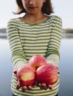 Cropped view of girl holding fresh red apples on lake shore. — Stock Photo