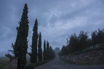 Cipressi su strada con muro di pietra sotto cielo nuvoloso in Toscana, Italia . — Foto stock