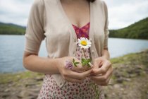 Vista recortada de la mujer sosteniendo la flor de la margarita por el lago de montaña . - foto de stock