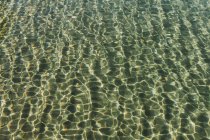 Light reflecting off surface of rippling water. — Stock Photo