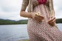 Cropped view of woman holding daisy flower by mountain lake. — Stock Photo
