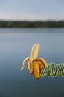 Vista recortada de la mano de la niña sosteniendo plátano en frente del lago - foto de stock