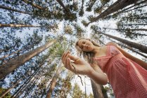 Vista en ángulo bajo de una mujer joven sosteniendo una pequeña rama de pino en el bosque . - foto de stock